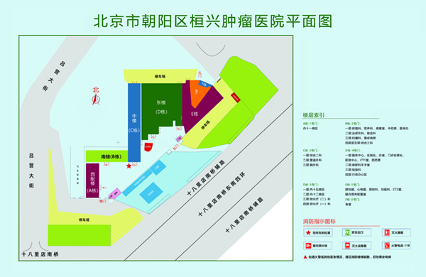 暴力疯狂内射少萝北京市朝阳区桓兴肿瘤医院平面图